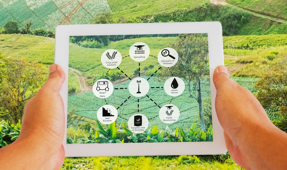 S3FOODS backing digital innovation