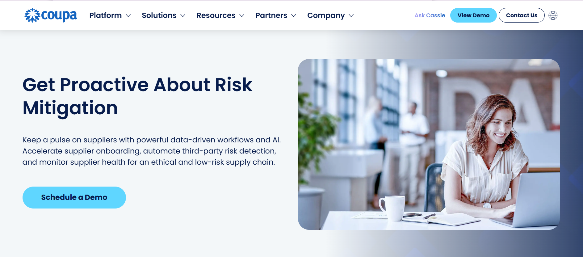 Supplier data management software solution